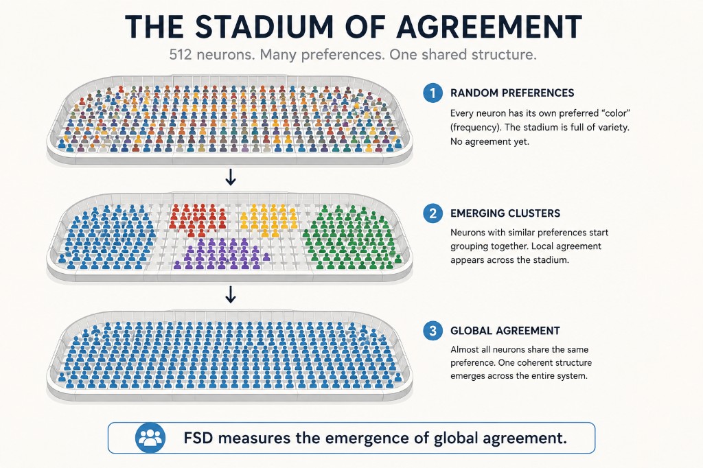 Stadium of agreement: random neuron preferences, emerging clusters, then global agreement across nearly the whole stadium