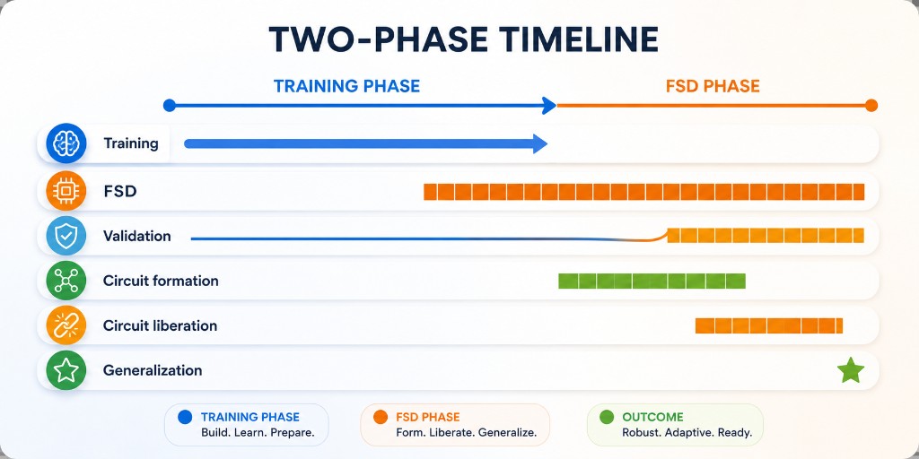 Two-phase timeline: training, then FSD phase with circuit formation, circuit liberation, validation jump, and generalization